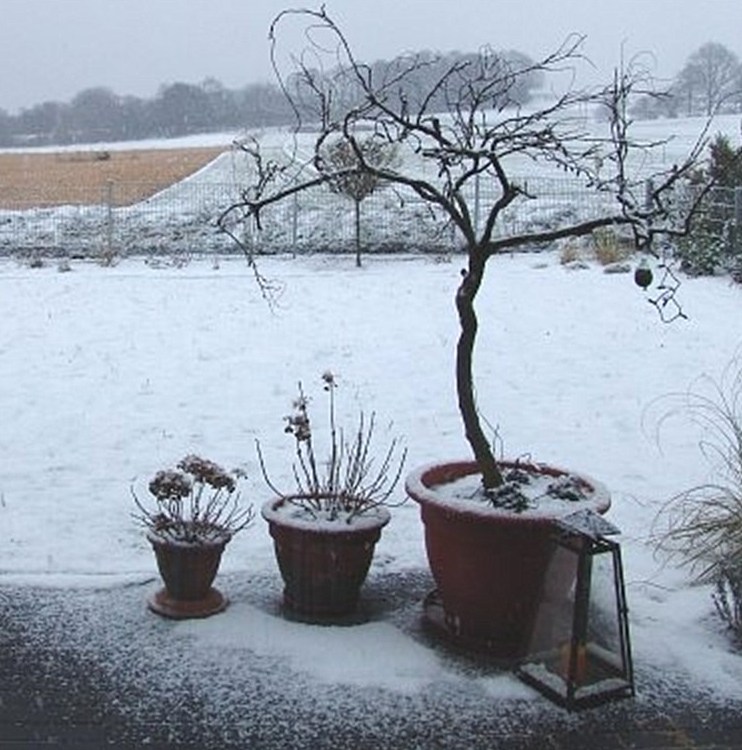 Verschneite Außenanlage im Winter